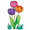 Цветной пример раскраски три цветка тюльпаны