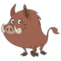 Цветной вариант раскраски кабанчик