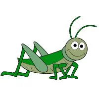 Цветной вариант раскраски рисунок кузнечик