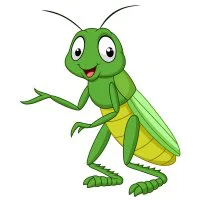 Цветной вариант раскраски зеленый кузнечик