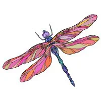 Цветной вариант раскраски стрекоза