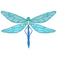 Цветной пример раскраски стрекоза настоящая