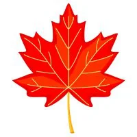 Цветной вариант раскраски осенний кленовый лист