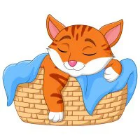 Цветной вариант раскраски котик греется под одеялкой