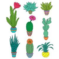 Цветной вариант раскраски разные домашние цветы