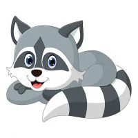 Цветной вариант раскраски енот лежит и улыбается