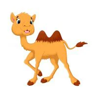 Цветной вариант раскраски игривый верблюжонок