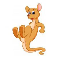 Цветной вариант раскраски кенгуру стоит на хвосте