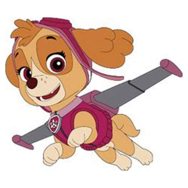 Цветной вариант раскраски скай в полете