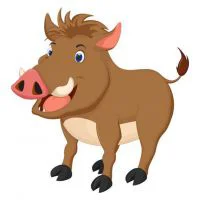 Цветной пример раскраски озорной кабан