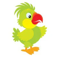 Цветной вариант раскраски маленький попугайчик