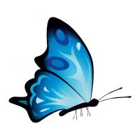 Цветной вариант раскраски бабочка сидит