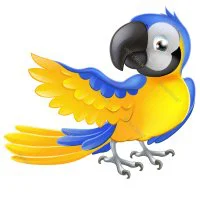 Цветной пример раскраски прелестный попугай