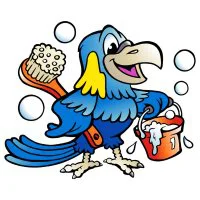 Цветной пример раскраски забавный попугай с щеткой