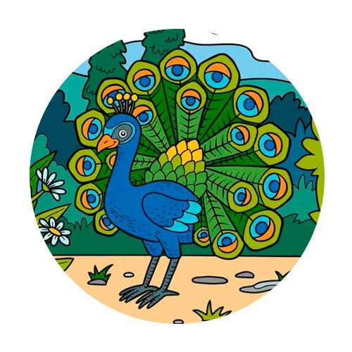 Цветной вариант раскраски павлин распустил хвост