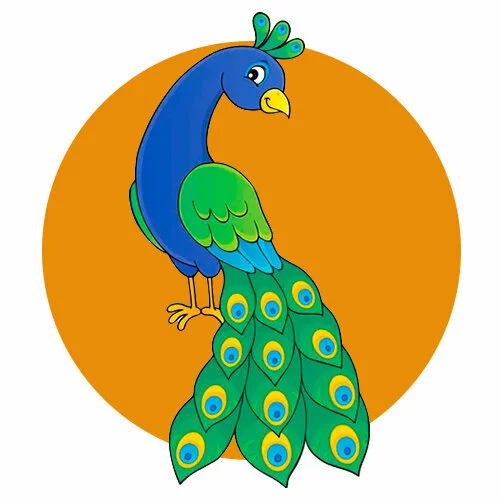 Цветной вариант раскраски павлин красавчик