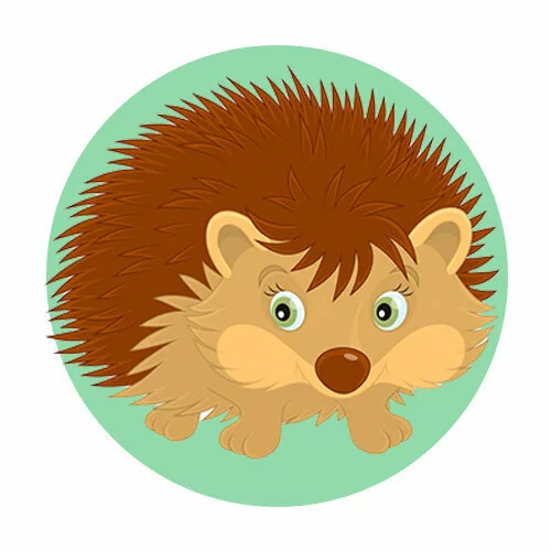 Цветной вариант раскраски ежик распушил иголки