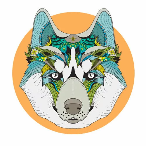 Цветной вариант раскраски серьезный волк антистресс