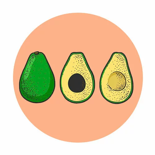 Цветной вариант раскраски авокадо разные ракурсы