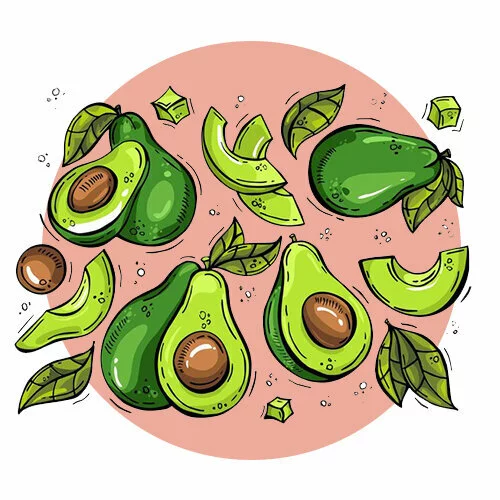 Цветной пример раскраски много авокадо