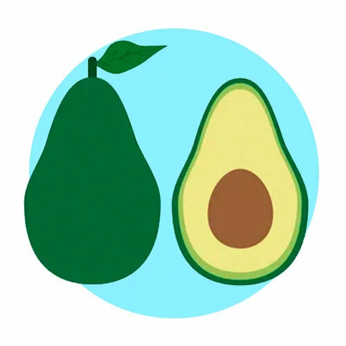 Цветной пример раскраски авокадо вид в разрезе