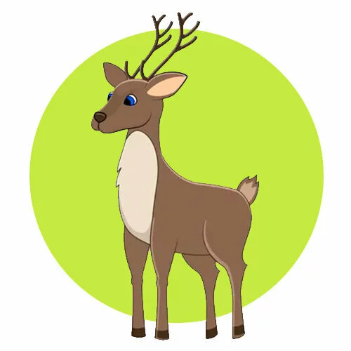 Цветной вариант раскраски молодой олень