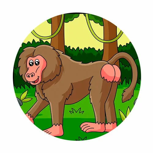 Цветной вариант раскраски бабуин