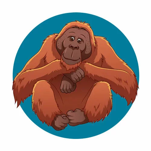 Цветной вариант раскраски обезьяна настоящая