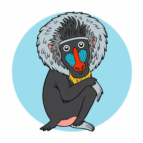 Цветной вариант раскраски обезьяна мандрил