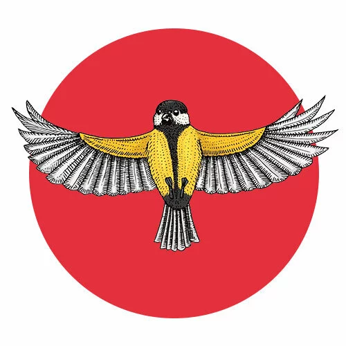 Цветной вариант раскраски синичка расправила крылья