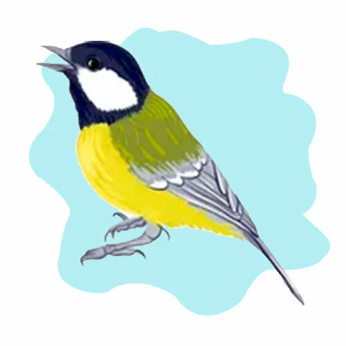 Цветной вариант раскраски поющая синичка