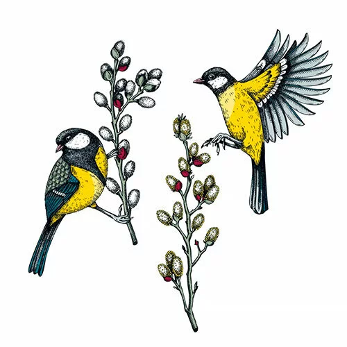 Цветной вариант раскраски синички весной