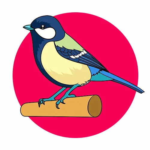 Цветной вариант раскраски синичка не жердочке