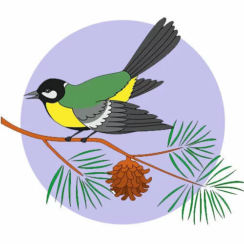 Цветной вариант раскраски синичка на елке