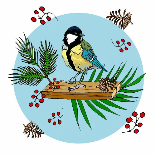 Цветной вариант раскраски синичка зимняя