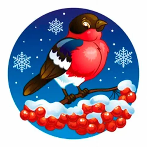 Цветной вариант раскраски снегирь на ветке рябины