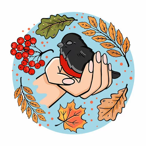 Цветной пример раскраски снегирь спит