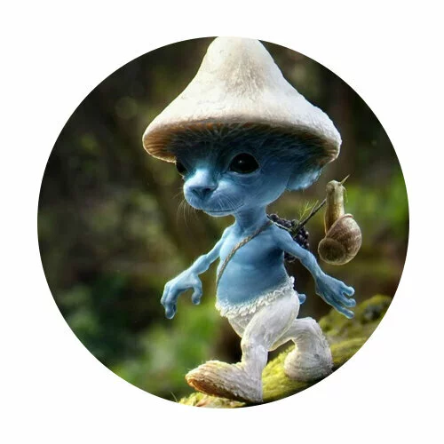 Цветной вариант раскраски шайлушай ушел