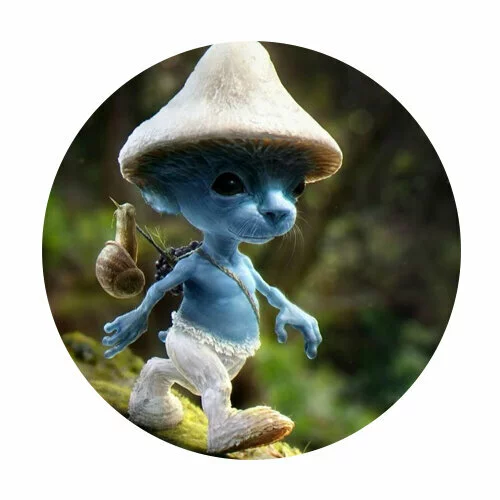 Цветной вариант раскраски шайлушай идет