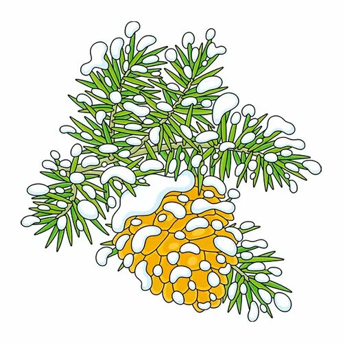 Цветной вариант раскраски елка и шишка в снегу
