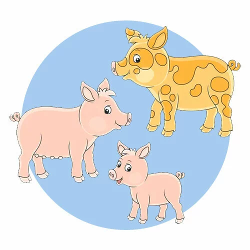 Цветной пример раскраски разные свиньи