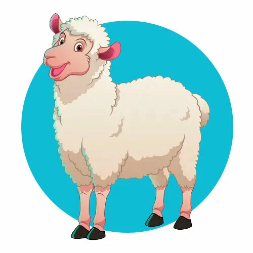 Цветной вариант раскраски барашек без рогов