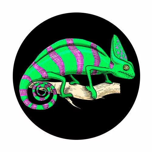 Цветной вариант раскраски ящерица дикая