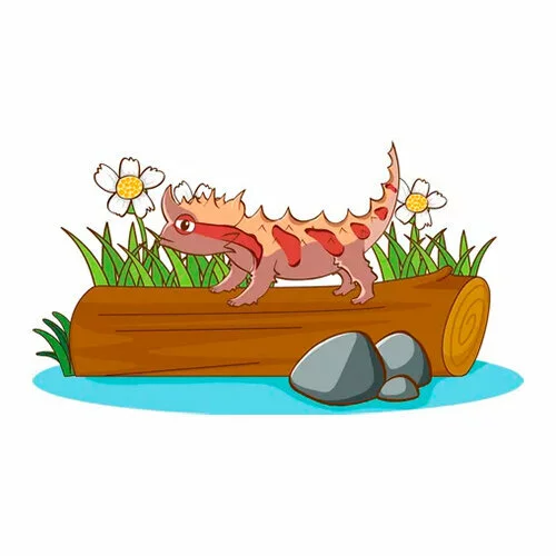 Цветной вариант раскраски молох – «колючий дьявол» ящерица