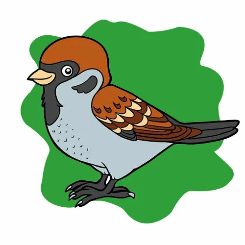 Цветной пример раскраски воробей мультик