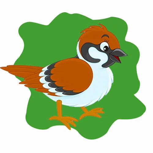 Цветной вариант раскраски воробей рисунок