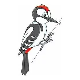 Цветной вариант раскраски красивый дятел