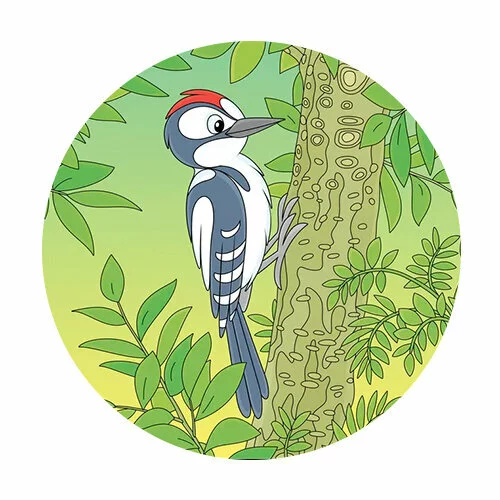 Цветной вариант раскраски дятел в лесу