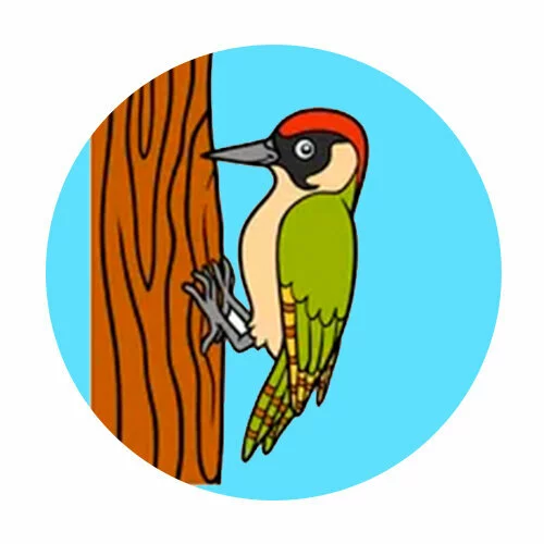 Цветной вариант раскраски дятел на дереве