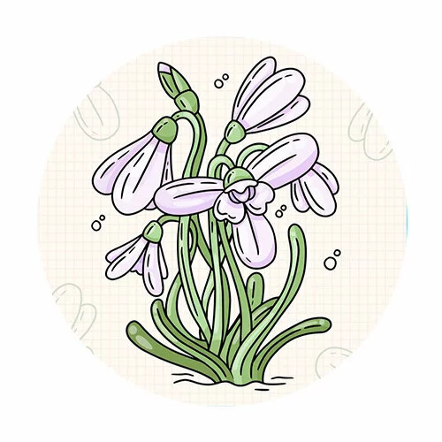 Цветной вариант раскраски подснежники весенние красивые